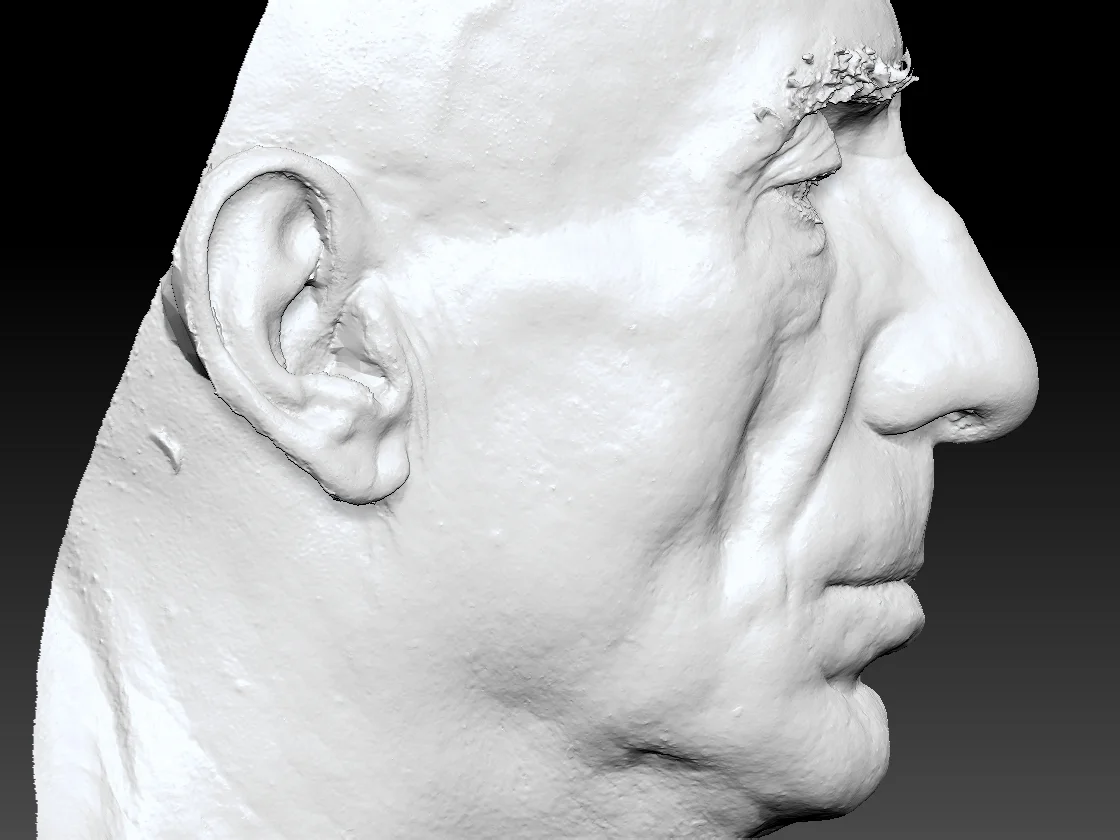 Human heads and FACS scans Render